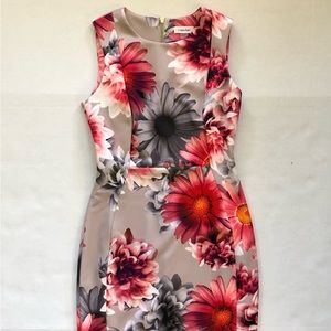 NWOT Calvin Klein sleeveless sheath dress. Perfect for work!